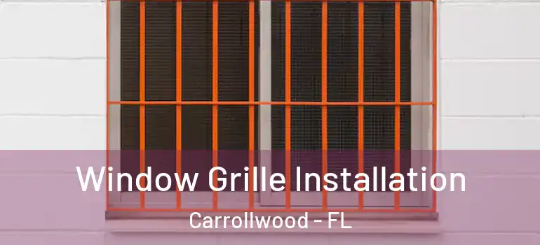  Window Grille Installation Carrollwood - FL