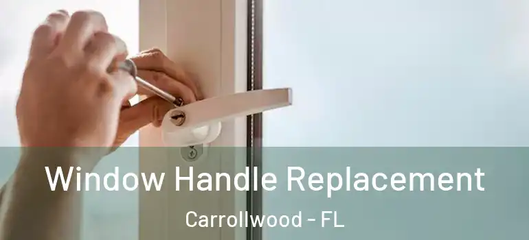 Window Handle Replacement Carrollwood - FL