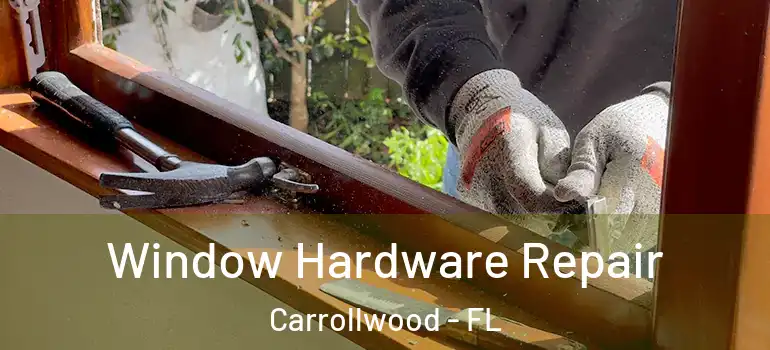  Window Hardware Repair Carrollwood - FL