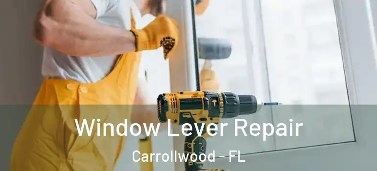  Window Lever Repair Carrollwood - FL