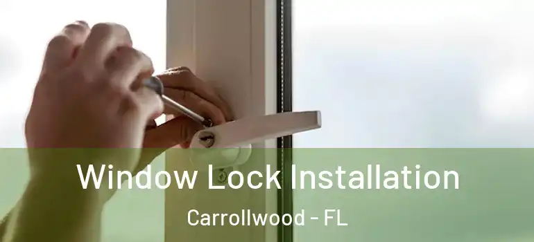  Window Lock Installation Carrollwood - FL