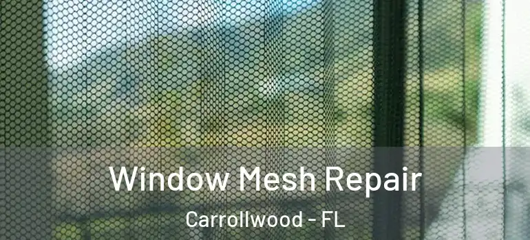  Window Mesh Repair Carrollwood - FL