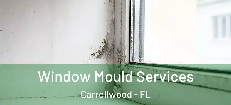  Window Mould Services Carrollwood - FL