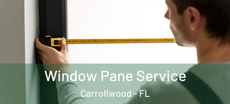  Window Pane Service Carrollwood - FL