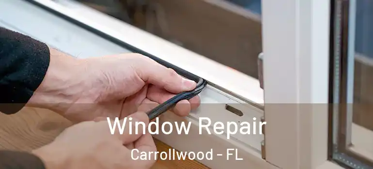  Window Repair Carrollwood - FL
