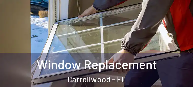  Window Replacement Carrollwood - FL