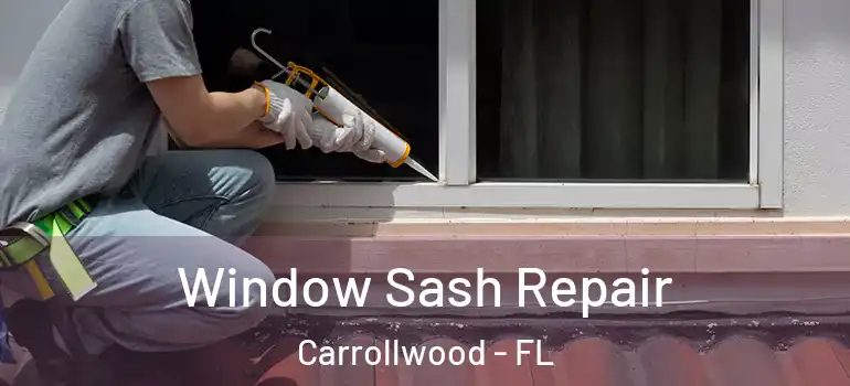  Window Sash Repair Carrollwood - FL