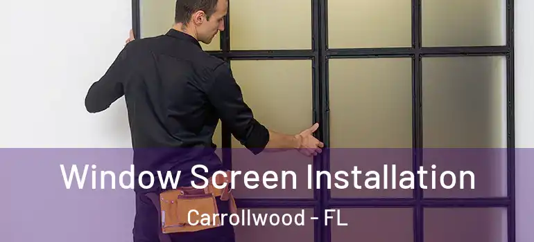  Window Screen Installation Carrollwood - FL