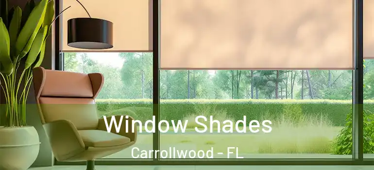  Window Shades Carrollwood - FL