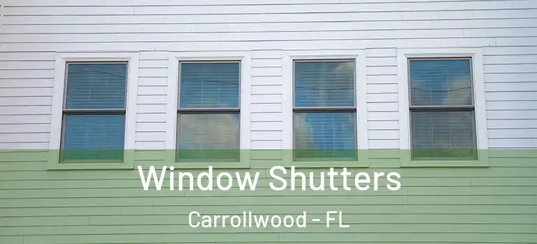  Window Shutters Carrollwood - FL
