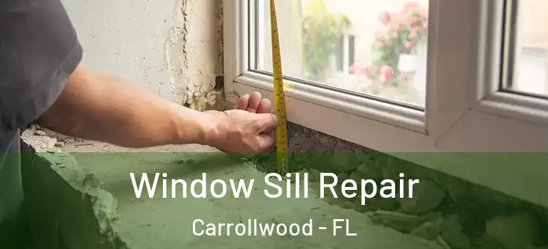  Window Sill Repair Carrollwood - FL