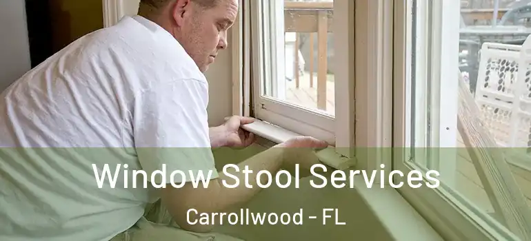  Window Stool Services Carrollwood - FL
