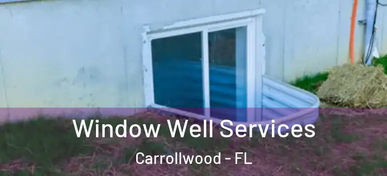  Window Well Services Carrollwood - FL