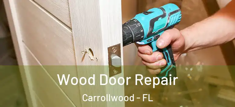  Wood Door Repair Carrollwood - FL