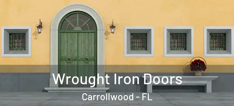 Wrought Iron Doors Carrollwood - FL